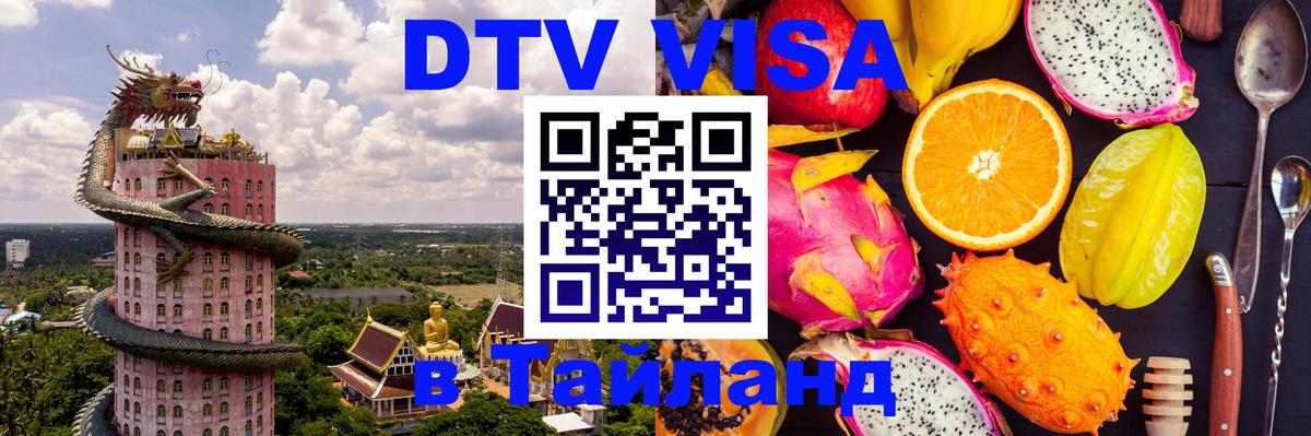 Оформление DTV визы под ключ: стоимость и тарифы, только загранпаспорт - 